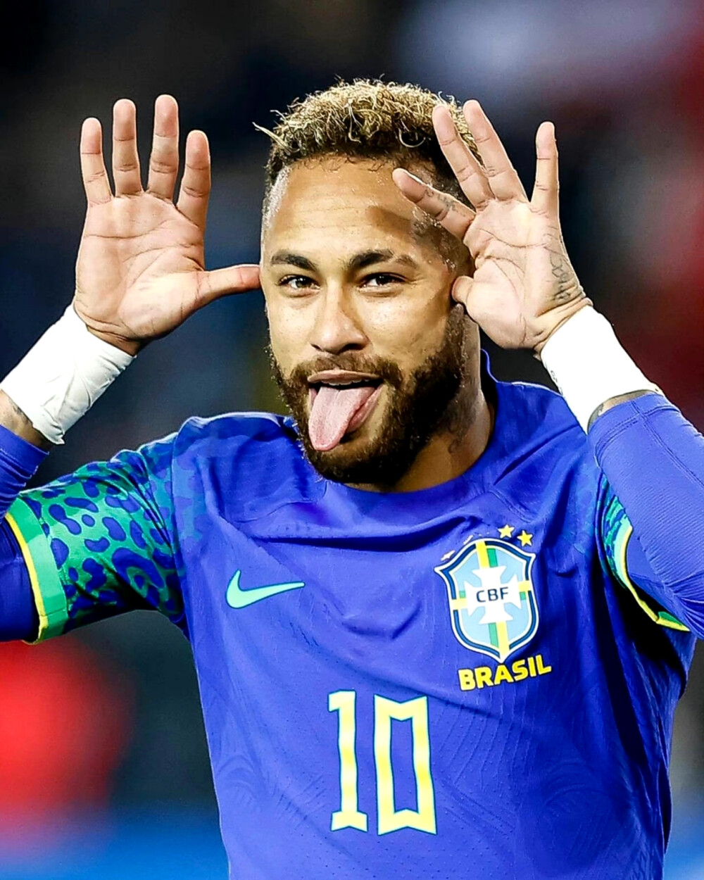 成了俱乐部 成了俱乐部